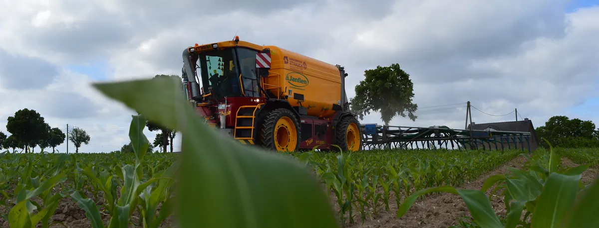 Oranger Vredo-Selbstfahrer mit Gülletank in einem jungen Maisfeld, aus Bodenhöhe fotografiert.